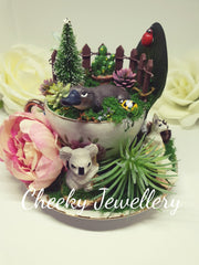 Down under- cute Australian fairy garden