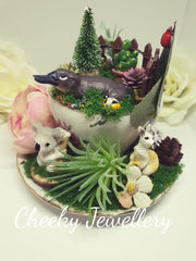 Down under- cute Australian fairy garden